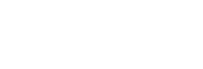 Fast Cheetah