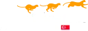 Fast Cheetah logo
